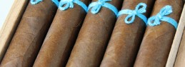 Zigarren News Blog|Pitbull Cigars, Puros aus Nicaragua