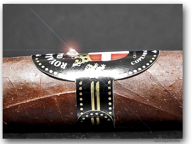 Zigarren News Blog|Royal Danish Cigars Regal Blend Queens #1